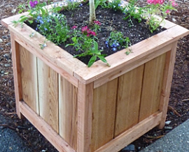 DIY Your Own Planter Boxes