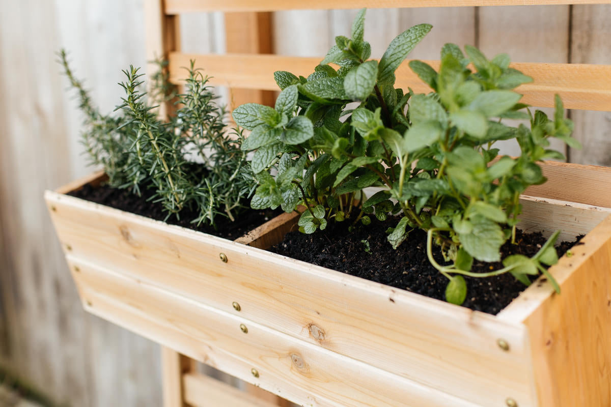 Maximize Your Green Space: DIY Vertical Gardens with Planter Boxes